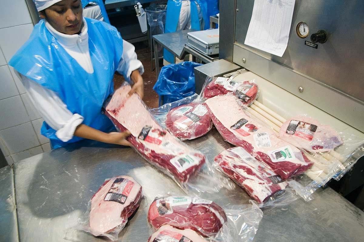 exportaciin_vacunos-argentina-12