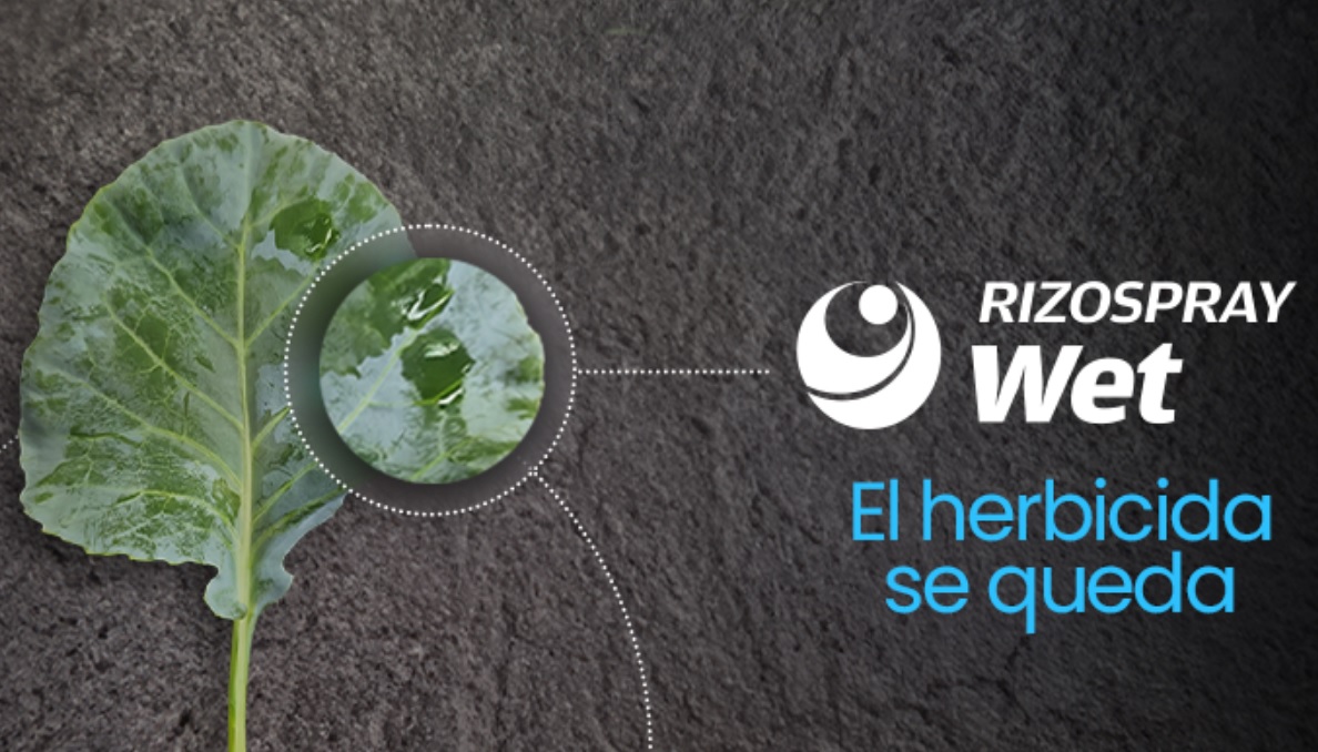 RIZO
