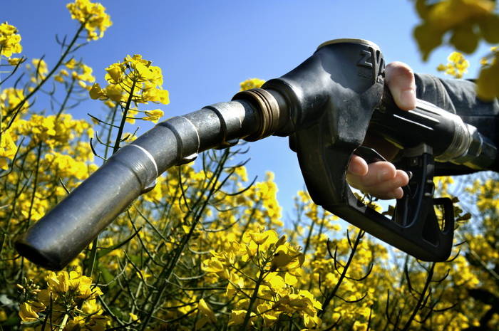 Los exportadores ofrecen aumentar el corte con biodiésel ante la falta de gasoil