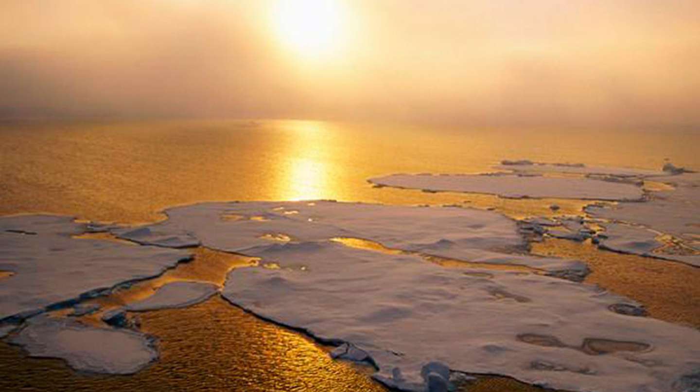 5 de junio: Dia mundial del Medio Ambiente