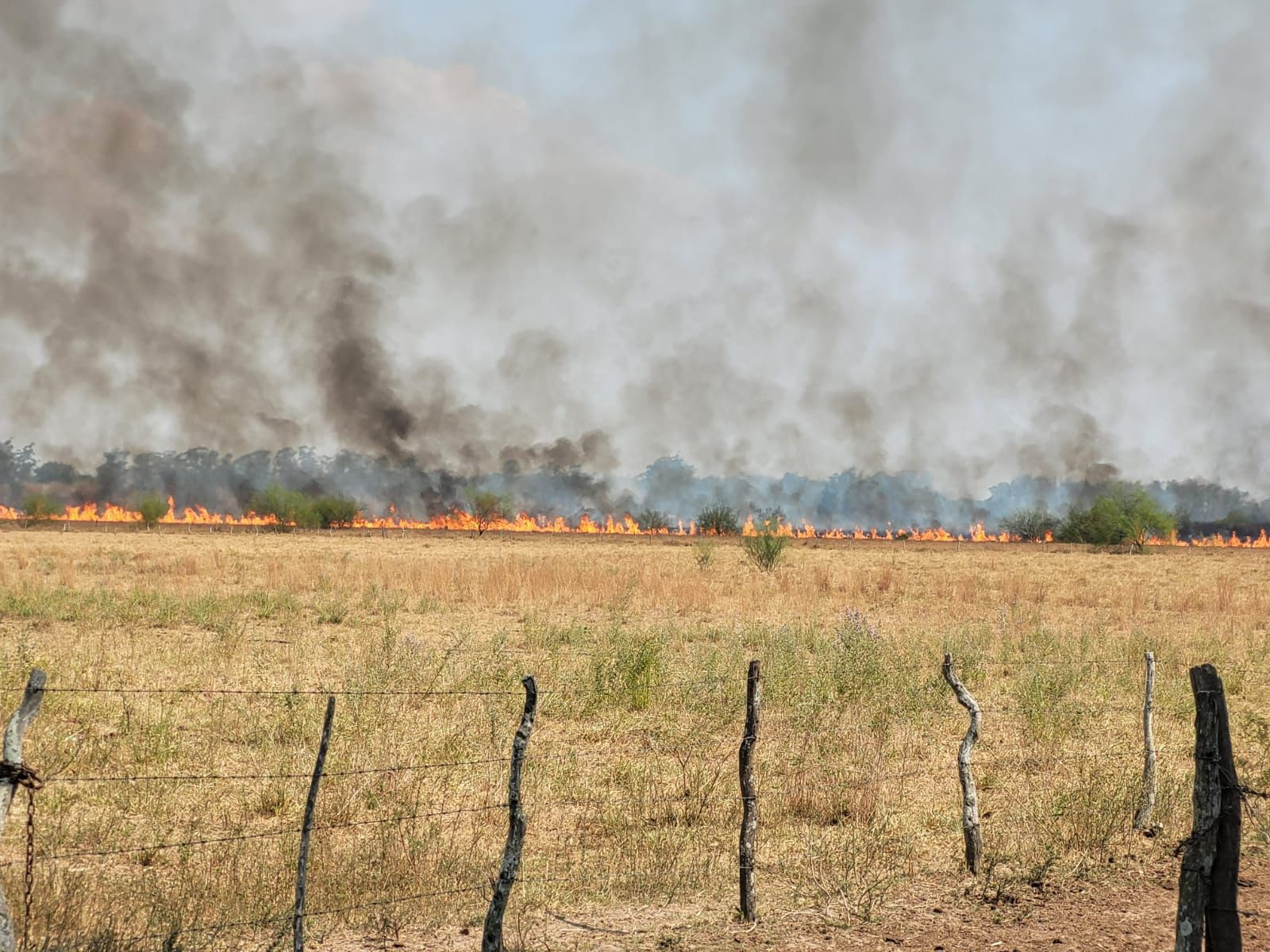 El RENATRE amplió el beneficio para aquellos empleadores que se encuentran en zonas de emergencia agropecuaria