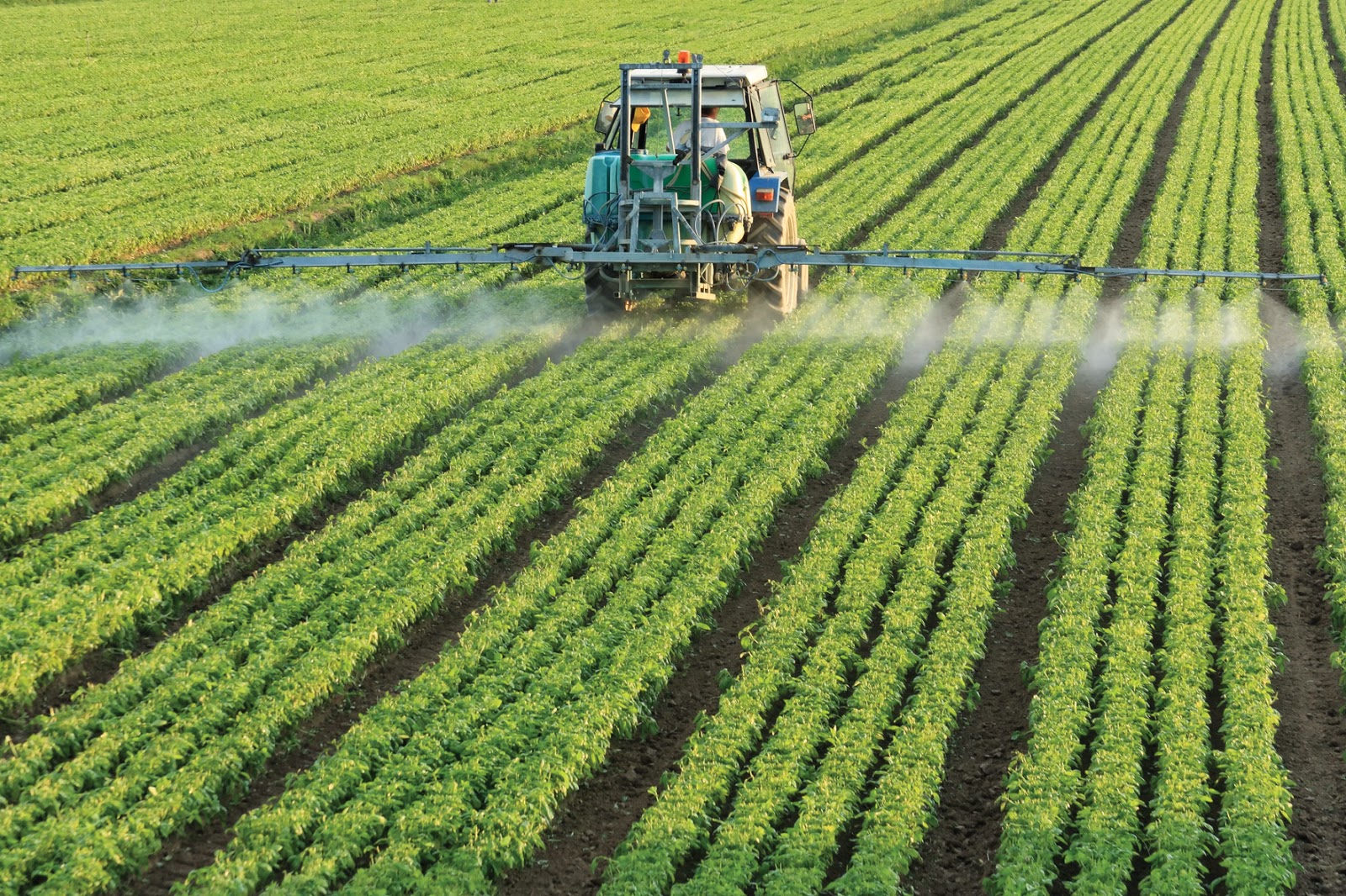 La falta de dólares pone en riesgo el abastecimiento de fertilizantes