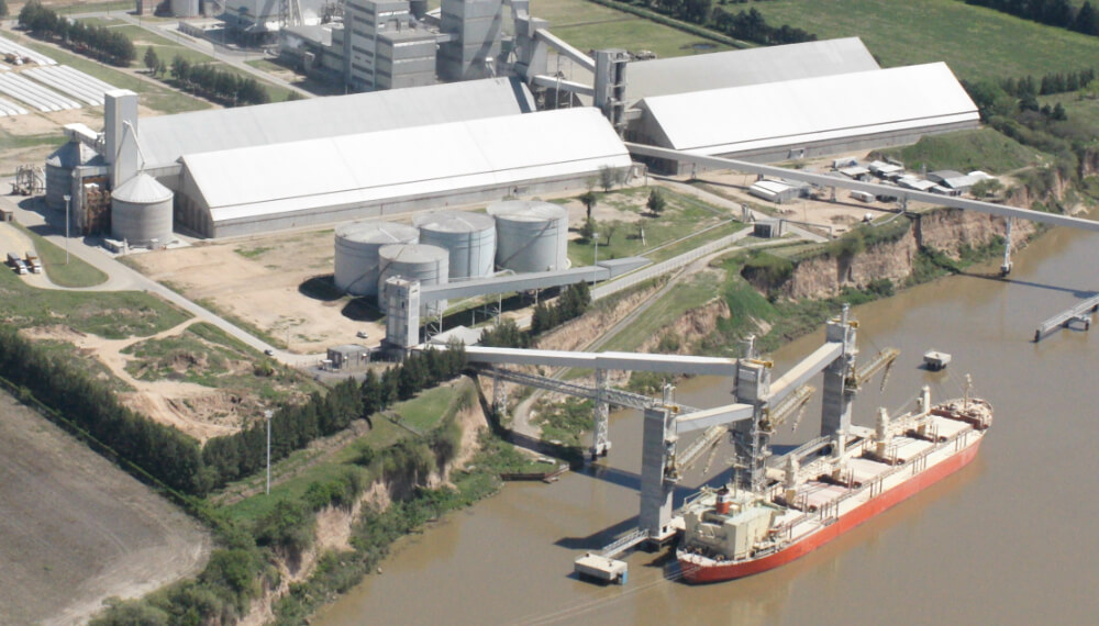 Casi U$S 50.000 millones: el aporte récord que harán los complejos agroexportadores en 2022
