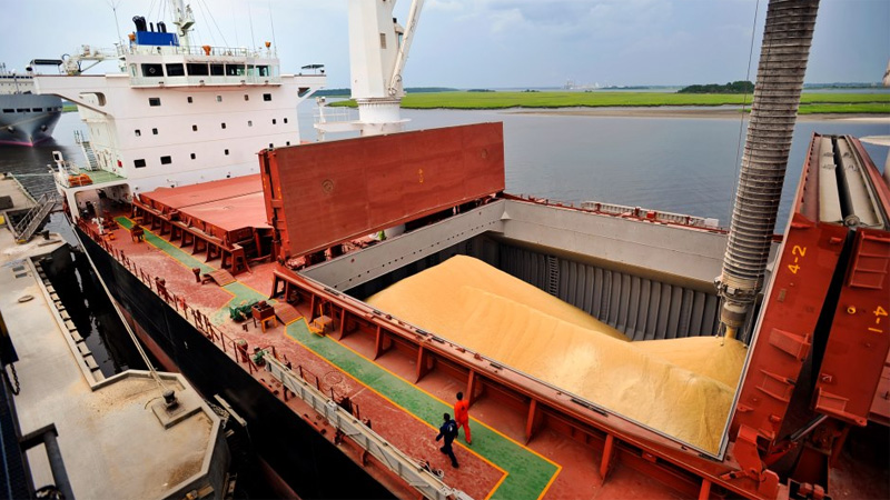 Las exportaciones de granos podrían superar un "hito histórico" de US$ 40.500 millones
