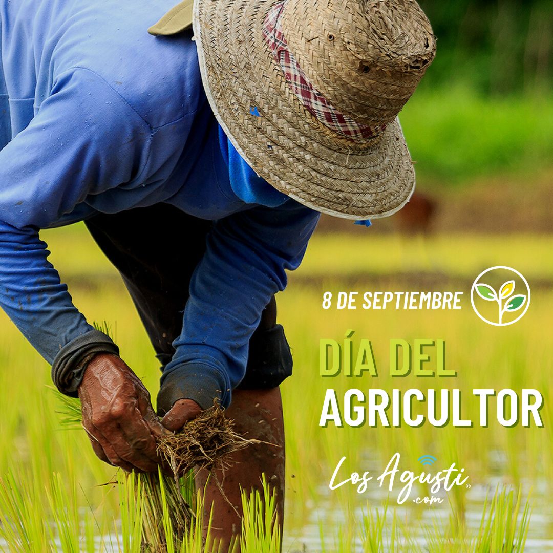 Reconocimiento en el Día del Agricultor y del Productor Agropecuario