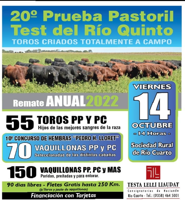 Clásico de Angus Centro: el viernes se realiza el remate anual de la 20 prueba pastoril Test del rio quinto