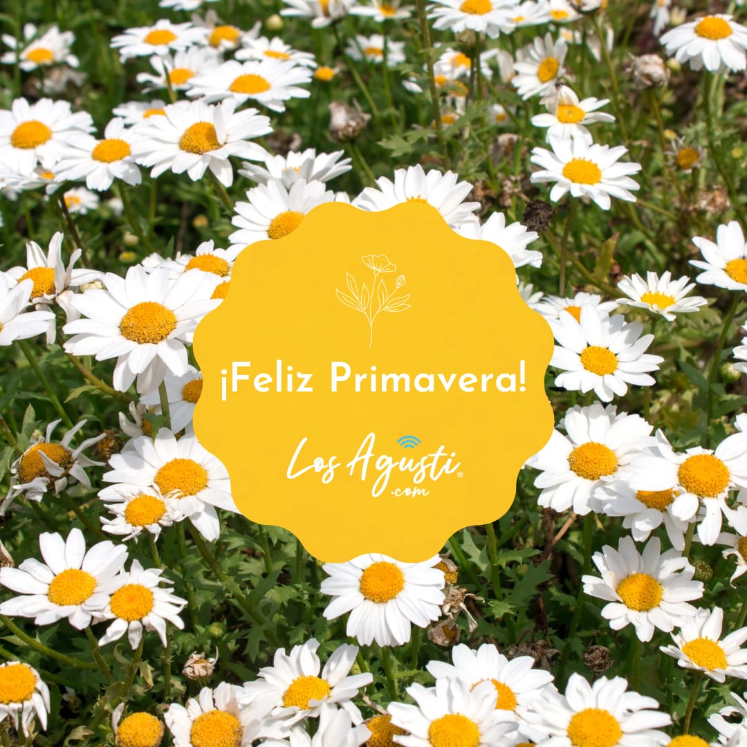 Arrancó la primavera con nieve en las sierras de Córdoba