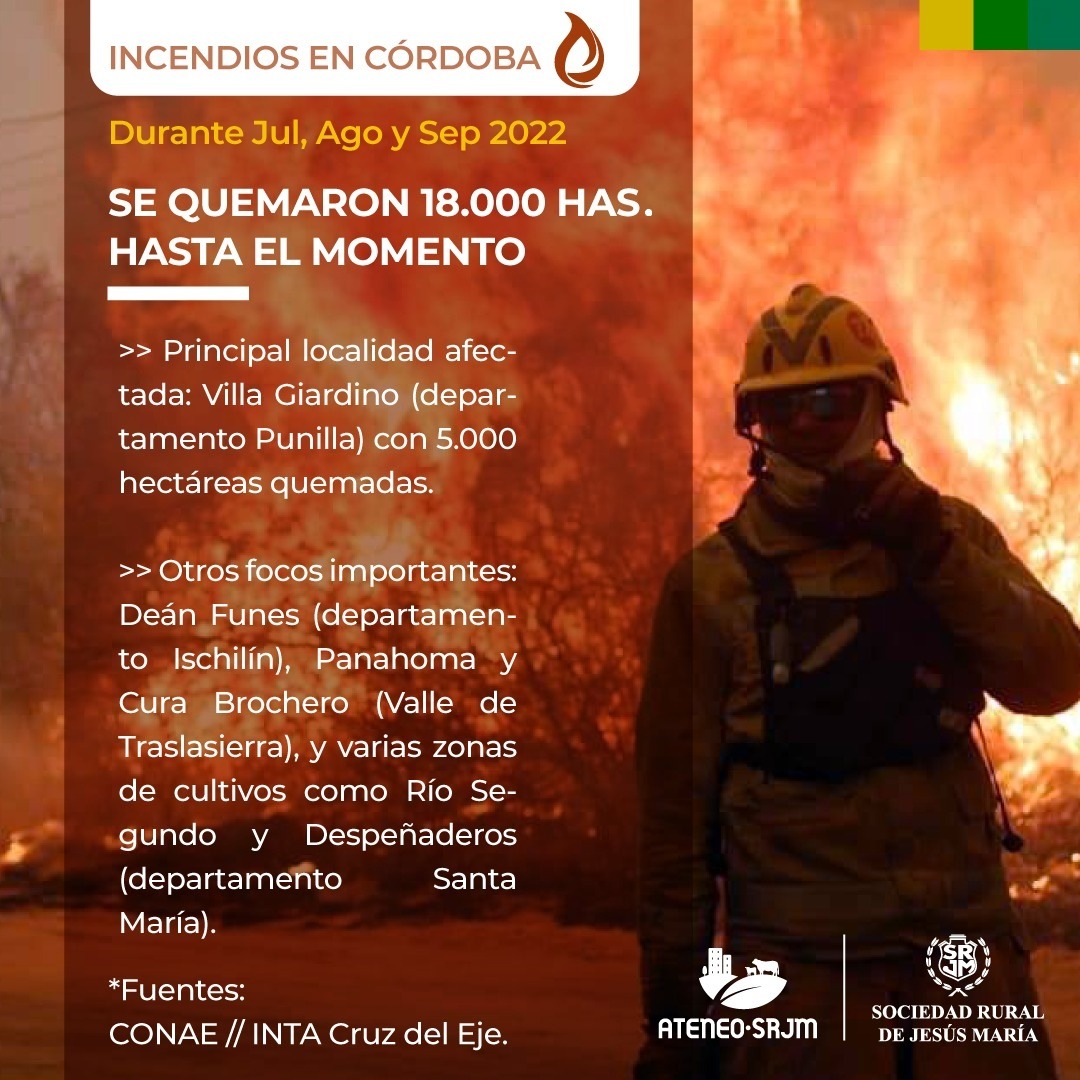 En los últimos 3 meses se quemaron 18 mil hectáreas en la provincia
