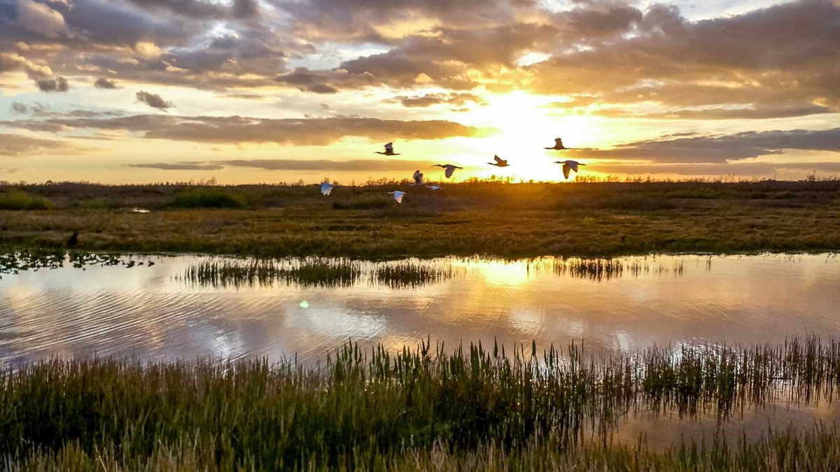 Entidades del campo: "No hace falta otra ley de política ambiental"
