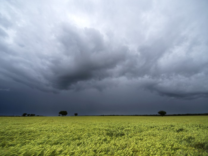 Lluvia de 20 mm. en Marcos Juárez y entre 15 a 20 mm. en varias localidades de la región núcleo