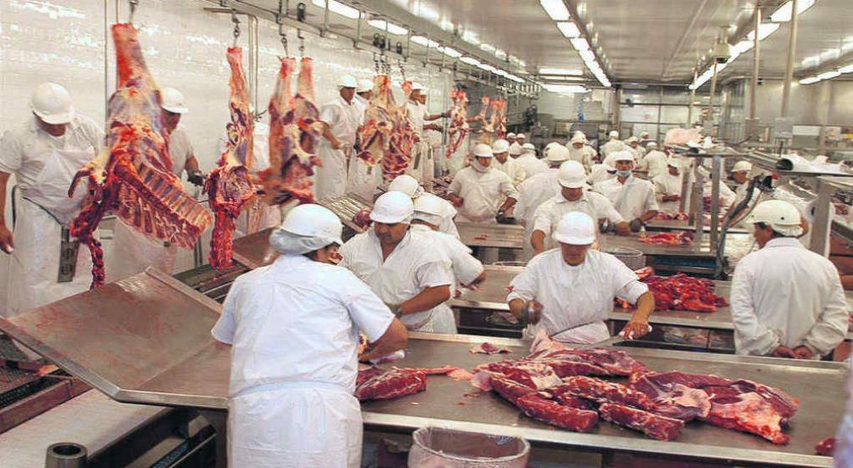 El Gobierno advirtió por sanciones y multas a frigoríficos que incumplan con el troceo