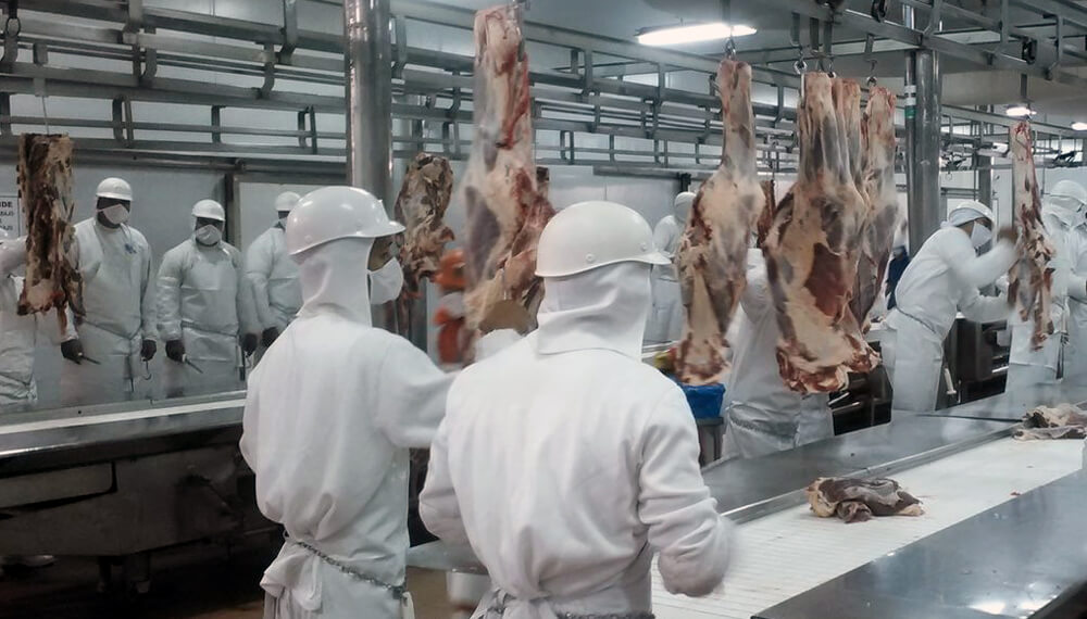 Con apoyo de gobiernos provinciales, frigoríficos y matarifes endurecerán la batalla contra el troceo