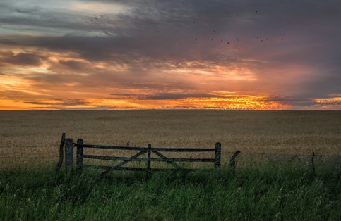 El mercado inmobiliario rural está empezando a reaccionar