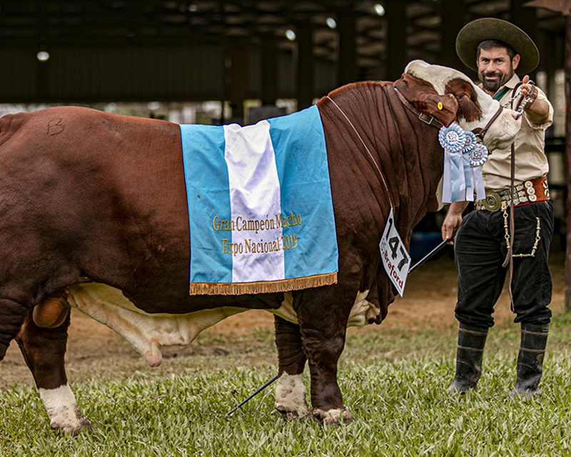 Del 24 al 29 de octubre: Exposición Nacional de Razas en Corrientes