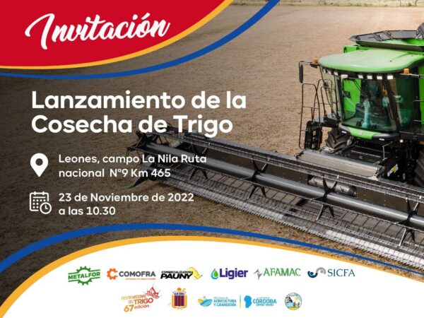 Por primera vez realizan hoy el lanzamiento simbólico de la cosecha triguera en Leones
