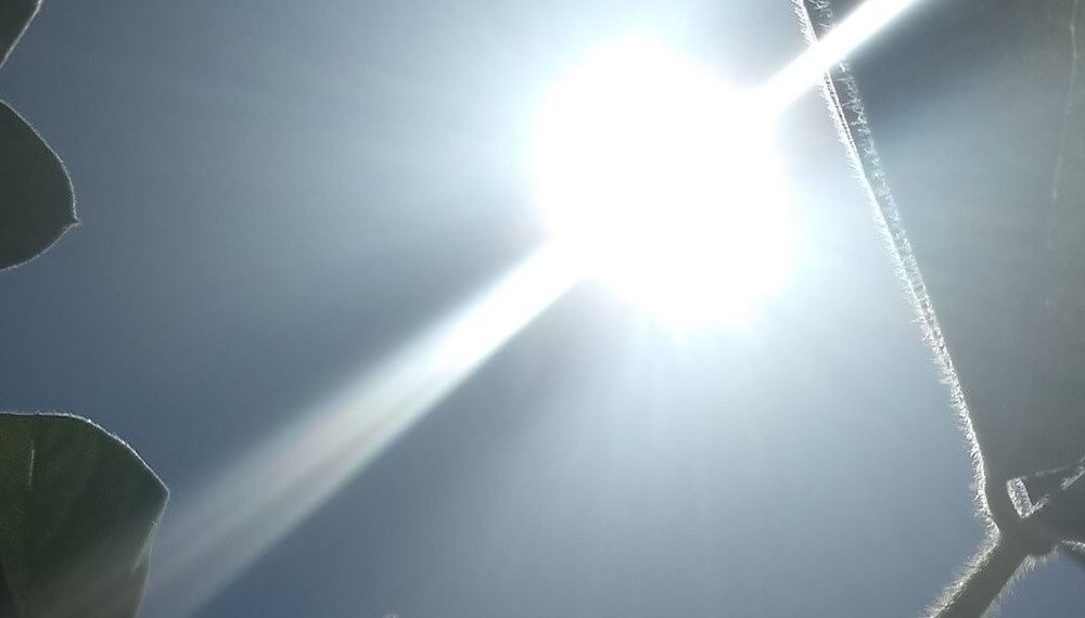La Niña empieza a perder fuerza y surgen precisiones sobre su finalización
