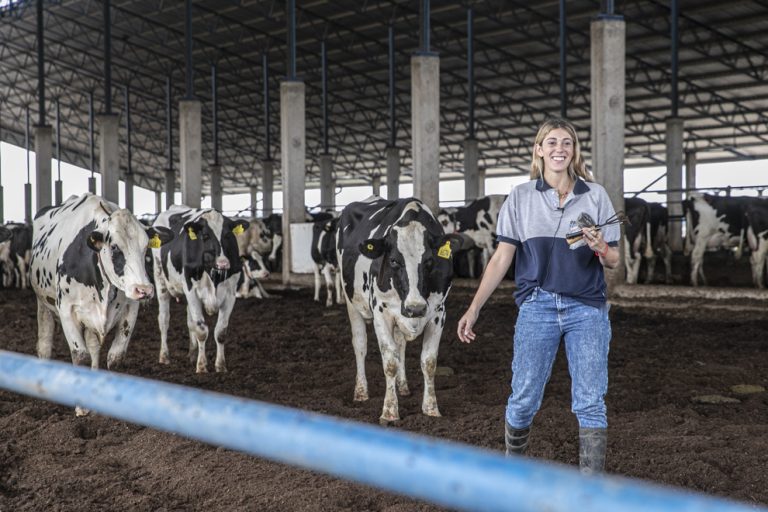Villa María: Ambiente entregó el primer Certificado Ambiental a un tambo estabulado