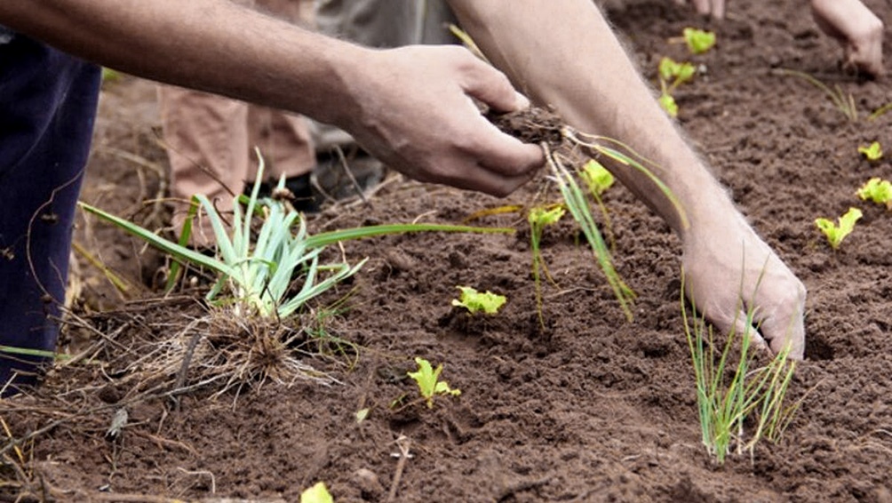 La Asociación Argentina de Productores Agropecuarios pidió "actuar con urgencia frente a los efectos devastadores de la sequía"