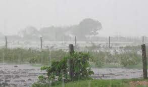 Lluvias dispares y escasas en la mayor parte de la región núcleo