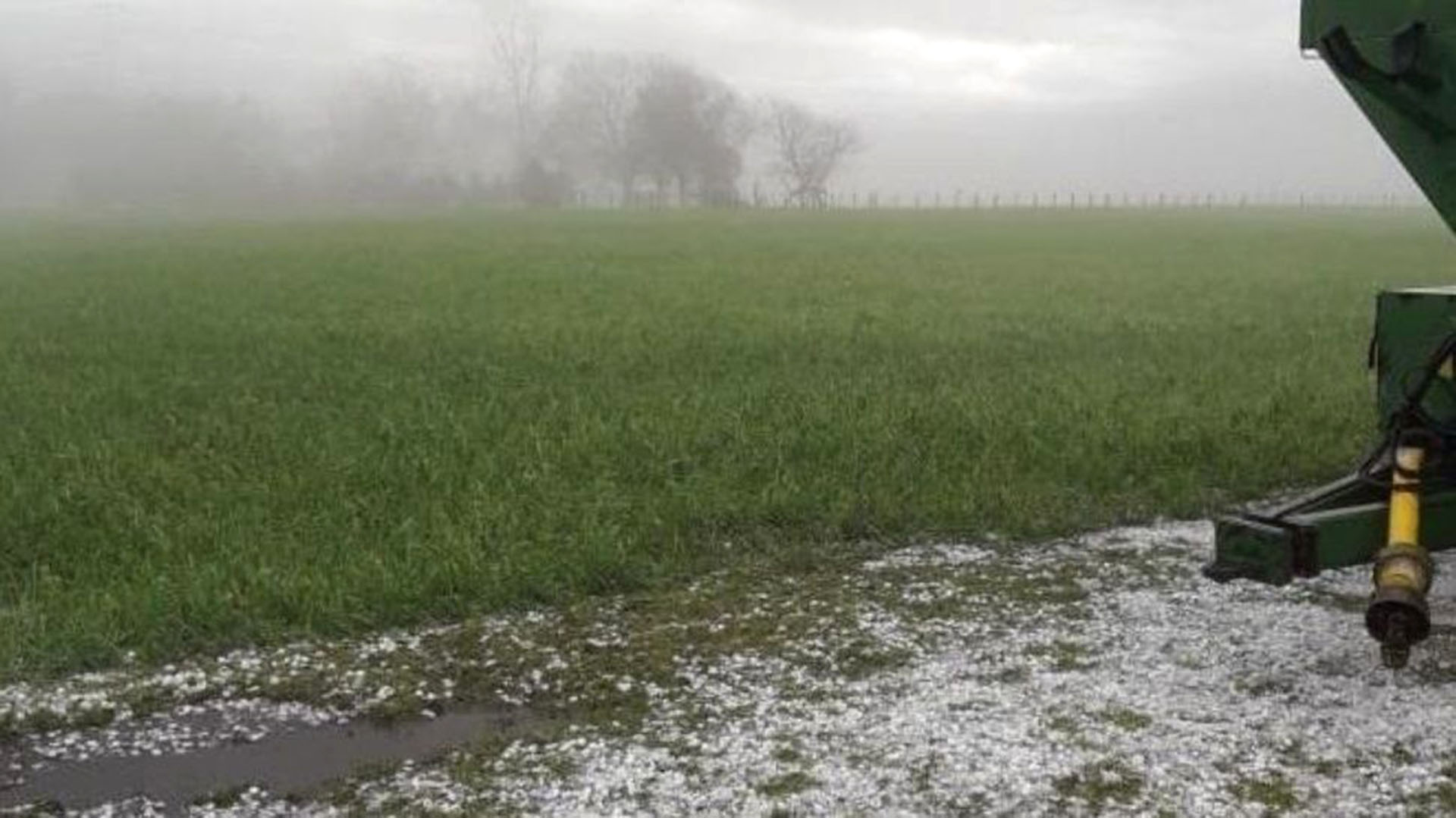 Las lluvias llegaron tarde pero en parte logran frenar el deterioro de los cultivos