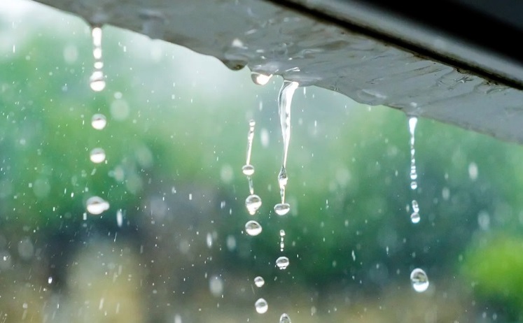 La región núcleo recibió las lluvias más importante desde marzo del año pasado