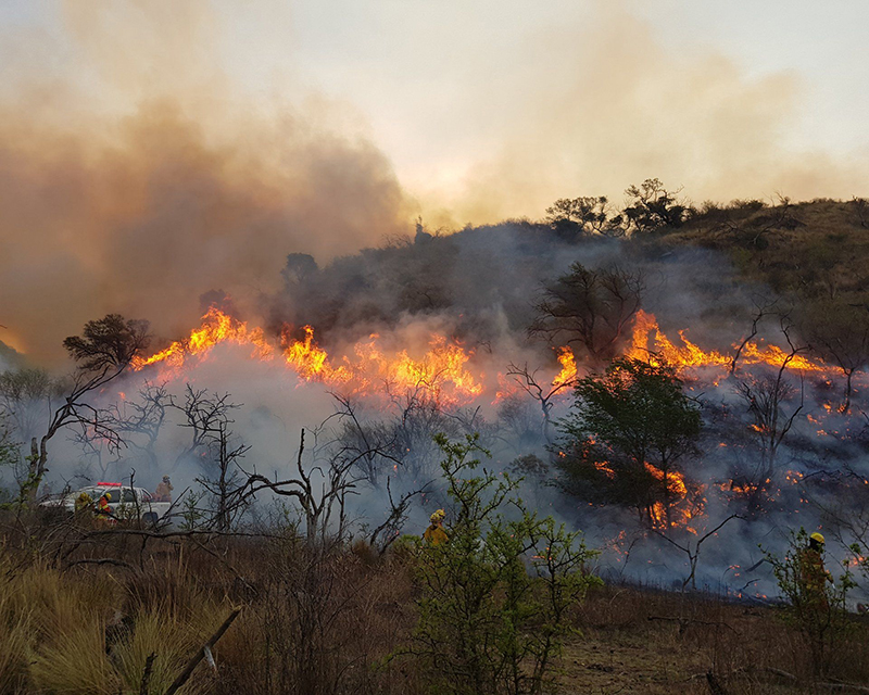 "La actual ley de bosques es parte del problema de los incendios", señaló el asesor Carlos Arnold