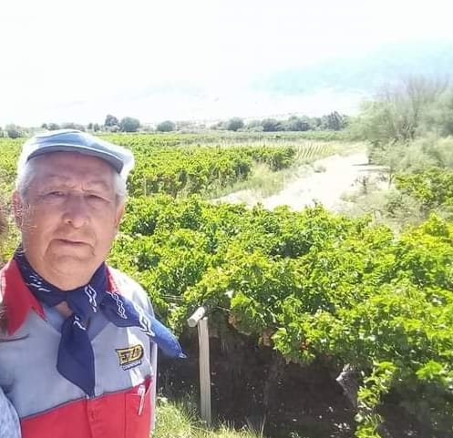 "Nono" Bustamante, 90 años, enólogo, vive en Fiambalá y toda su producción es orgánica