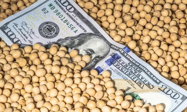 Sociedad Rural: los “dólar soja” tuvieron el mismo costo fiscal que bajar a la mitad las retenciones