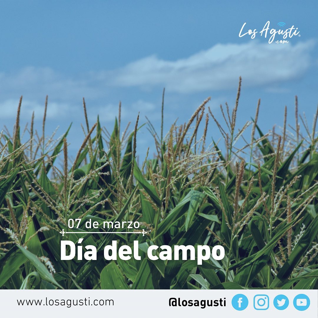 DÍA DEL CAMPO