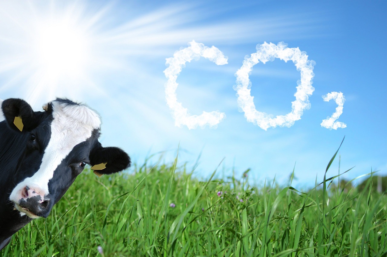 La NASA confirma que la Argentina es uno de los pocos países del mundo con balance positivo de carbono