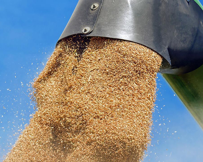 En octubre la agroexportación ingresó 2,4 mil millones de dólares