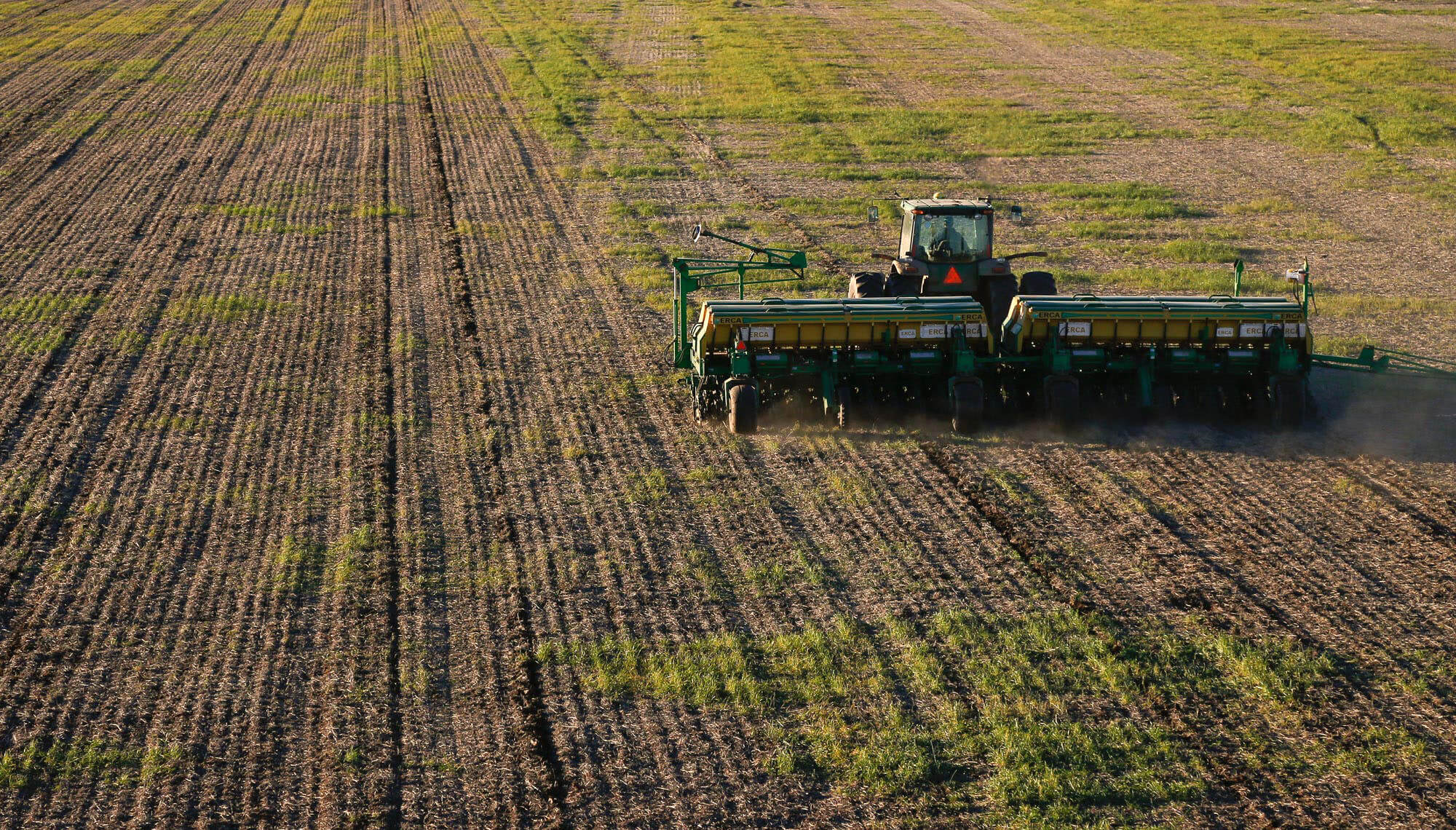 La encrucijada del trigo: ¿Cuánta agua falta? ¿Se puede sembrar con márgenes negativos en campo alquilado?
