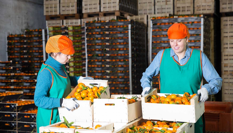 5 de cada 10 personas tienen algún vínculo con la producción de alimentos