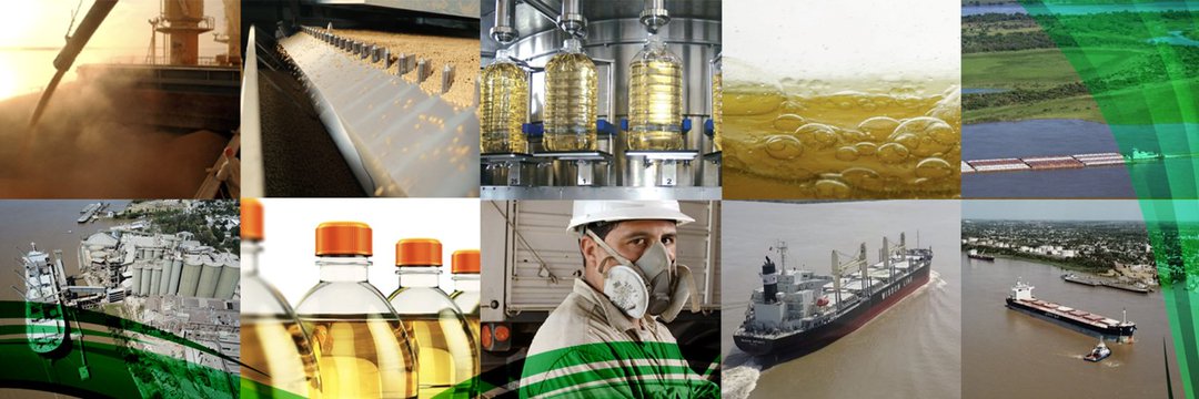 Por primera vez en 30 años Argentina perderá el primer puesto en exportaciones de harina de soja