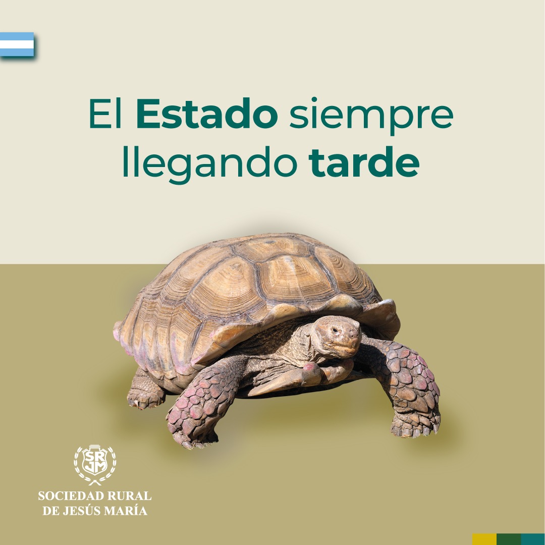 "Una vez más, la política llega tarde"