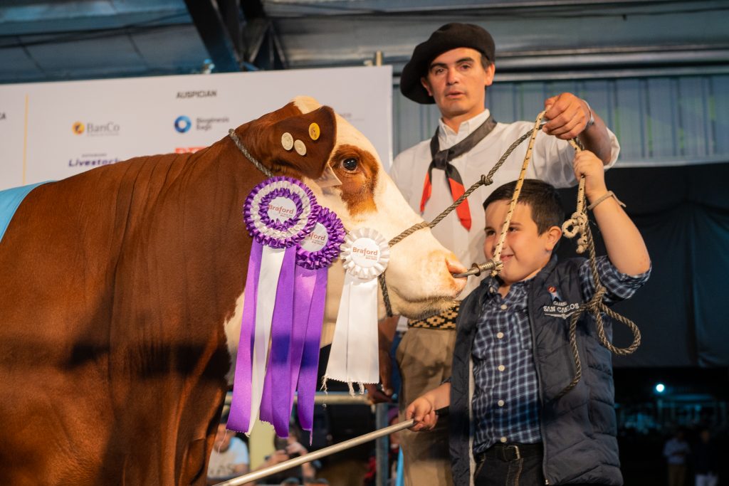 Corrientes: el Gran Campeón Macho de la Exposición Nacional Brahman, de cabaña Marcaojo, que se vendió en $6.000.000