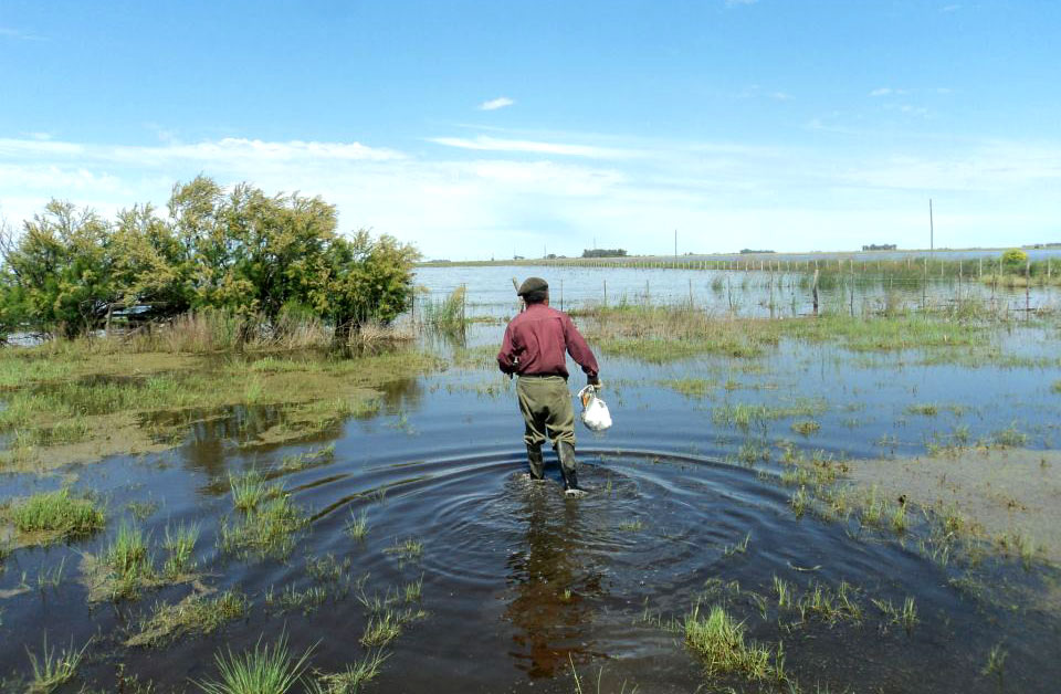 Diputados del bloque interfederal presentaron un proyecto de seguros multirriesgo para el campo