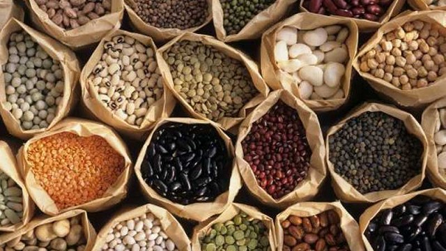 Argentina exporta 95% de los porotos que produce y es uno de los mayores vendedores del mundo