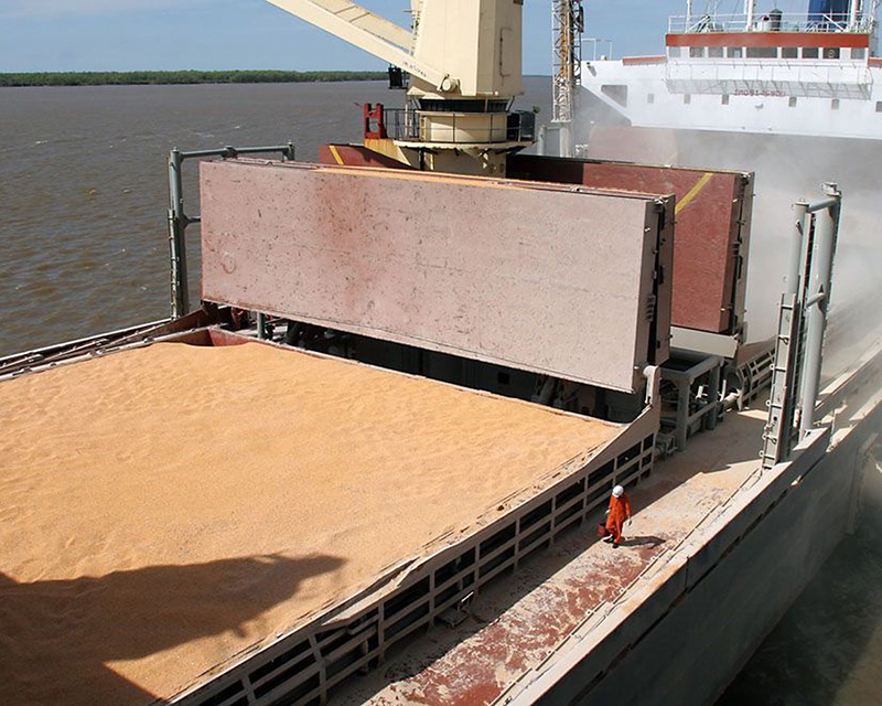 Exportaciones: el agro aportará 35.966 millones de dólares en el 2022