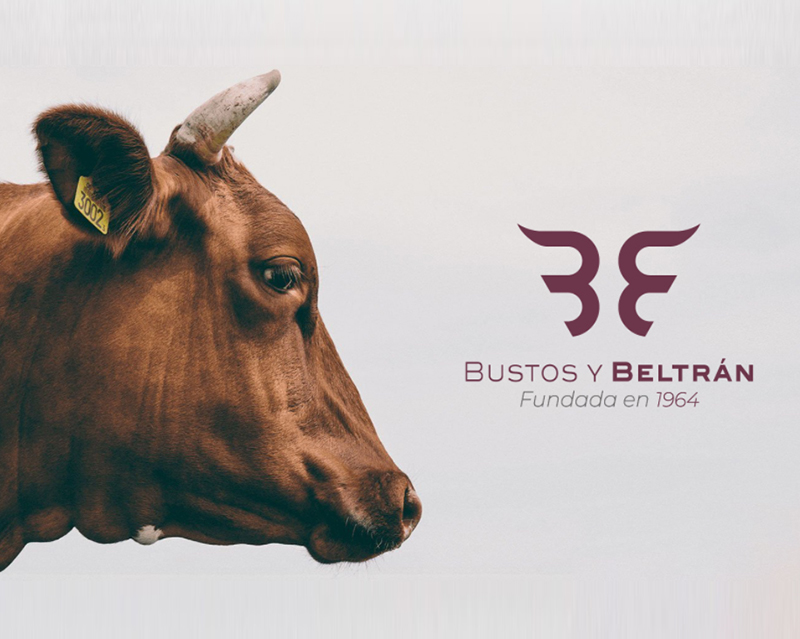 Bustos y Beltrán se prepara para exportar carne premium a los mercados más exigentes