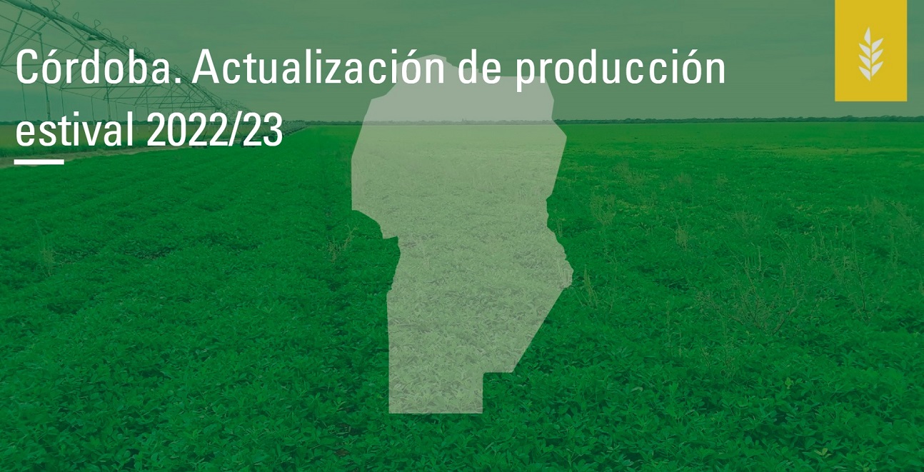 Córdoba: Nuevas estimaciones de producción estival 2022/23 con bajas en todos los cultivos