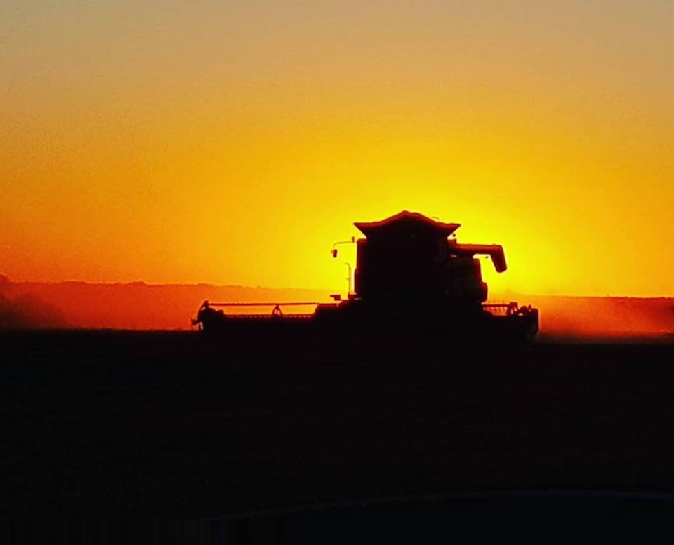 U$S 16.456 millones: en su año más difícil, los productores invirtieron una cifra récord