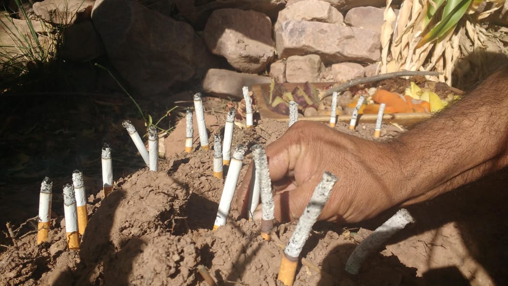 Pachamama: los 3 rituales para tener salud y prosperidad, además de tomar caña con ruda