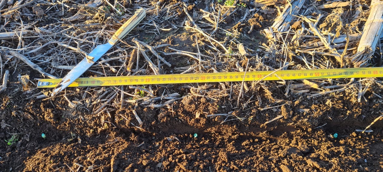 Del Vecchio: "la mayoría de los productores en nuestra zona que tenían pensado hacer el maíz de primera ya están con las máquinas en los campos"