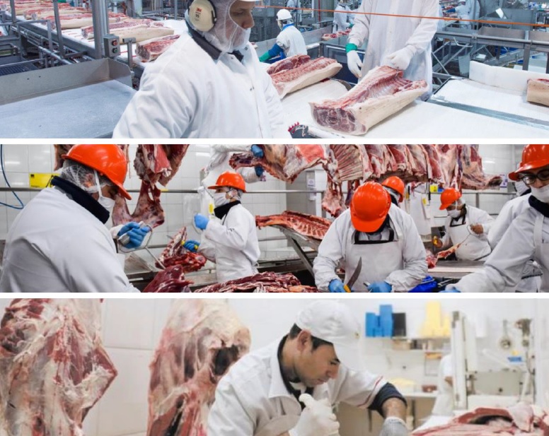 Carnes: Los volúmenes exportados en agosto representaron un 33,4% de las cerca de 278,7 mil toneladas res con hueso producidas en el período