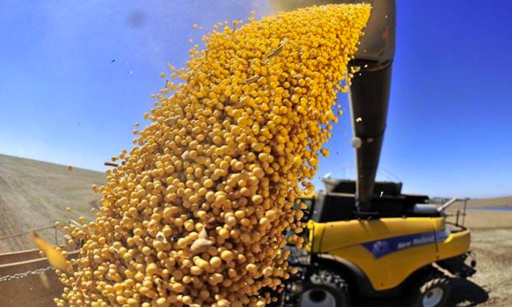 La secretaría de Agricultura creó el programa "Menos Brecha, más producción"