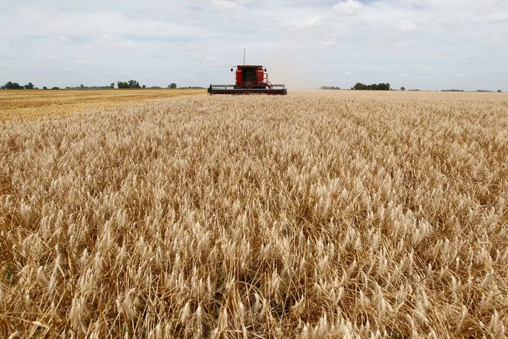 Federación Agraria también advierte por escasez de otros insumos esenciales