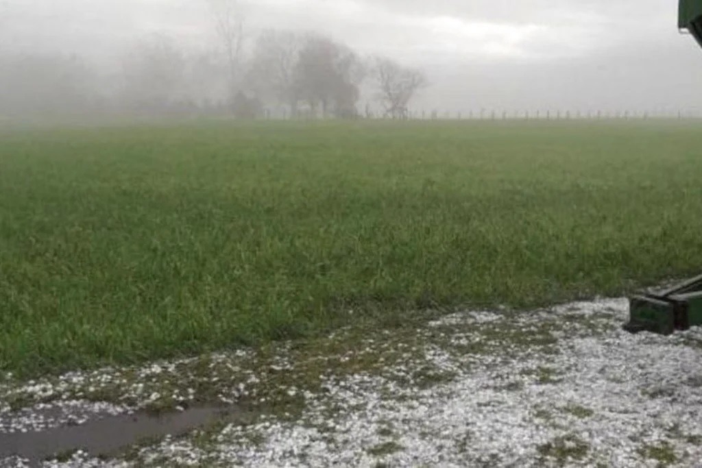 Esperan buenas lluvias para noviembre y diciembre, claves para la campaña de soja y maíz