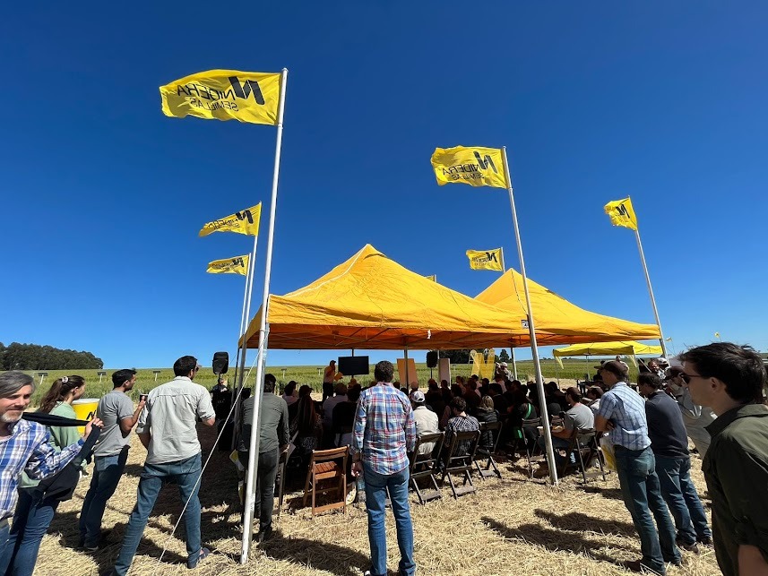 Nidera Semillas presentó su Campo Líder de Trigo en el Sudeste bonaerense