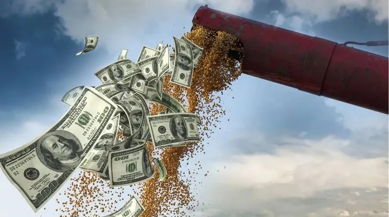 La liquidación de divisas del agro cayó 41% en noviembre